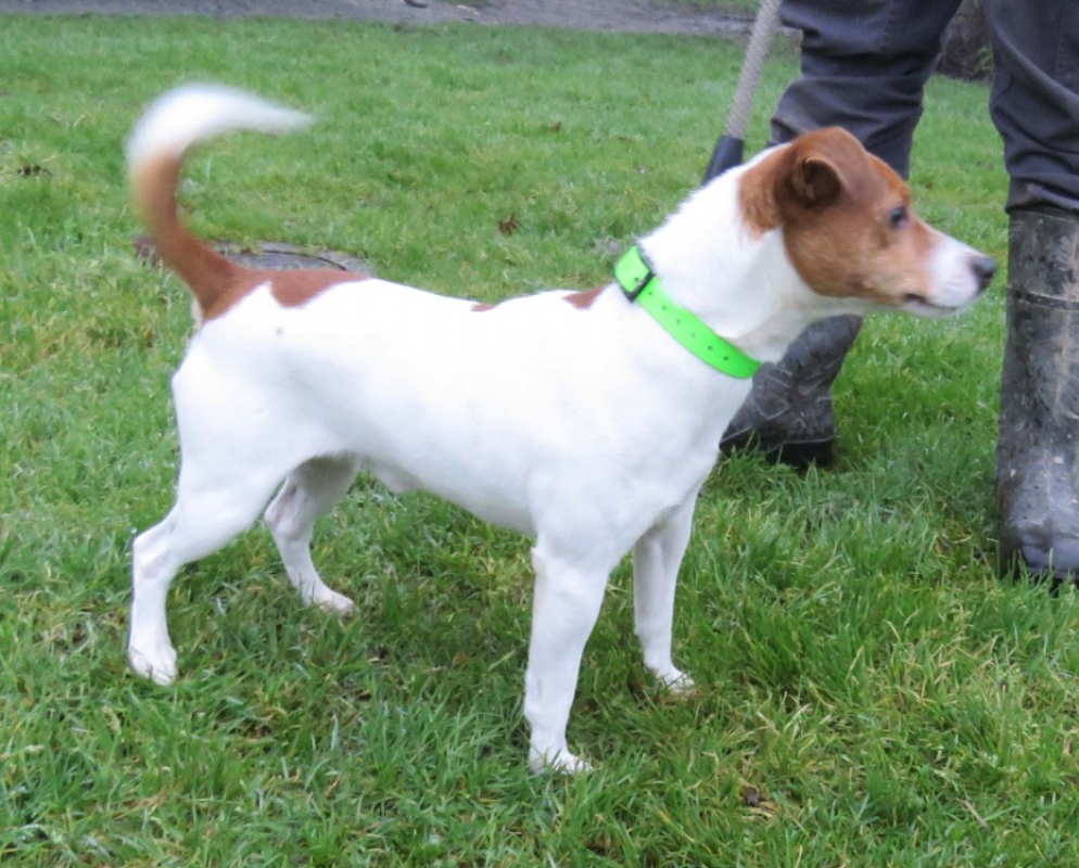 Photo #2 de Lao tseu