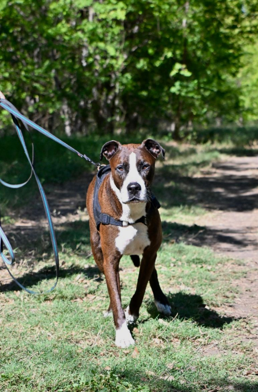 Photo #3 de LOKY