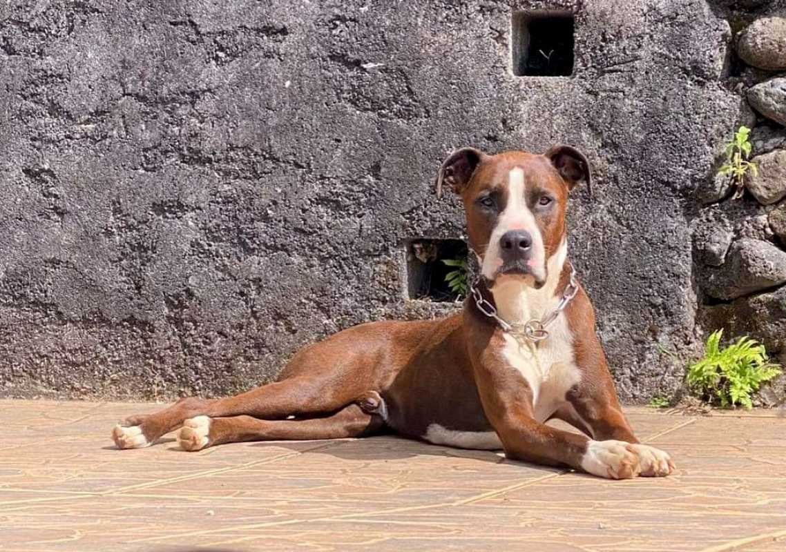 Photo #7 de LOKY