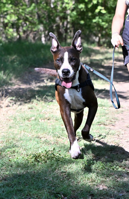 Photo #8 de LOKY