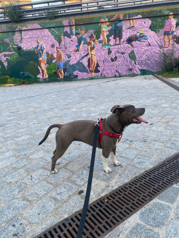 Photo #3 de NALA 