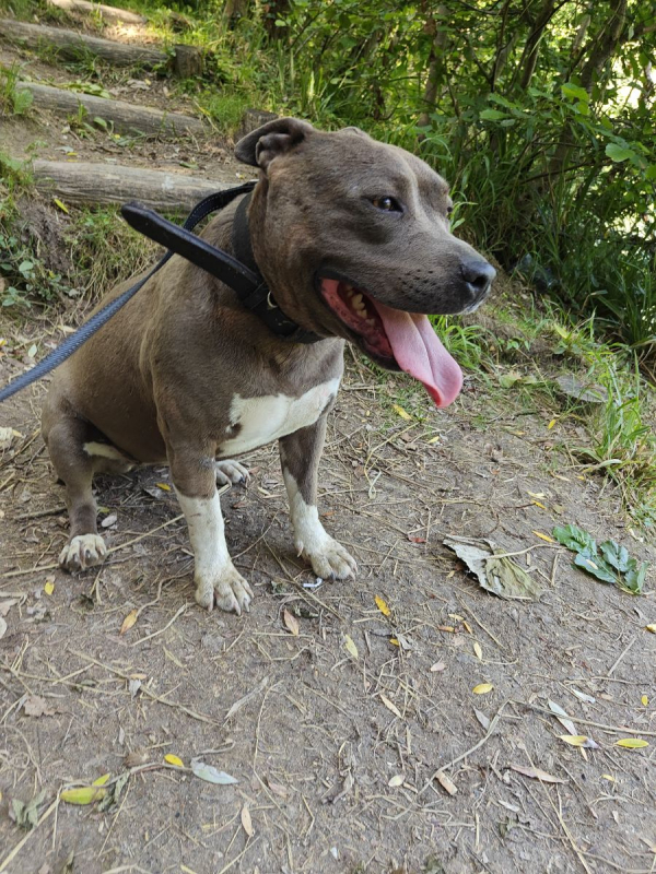 Photo #5 de NALA 