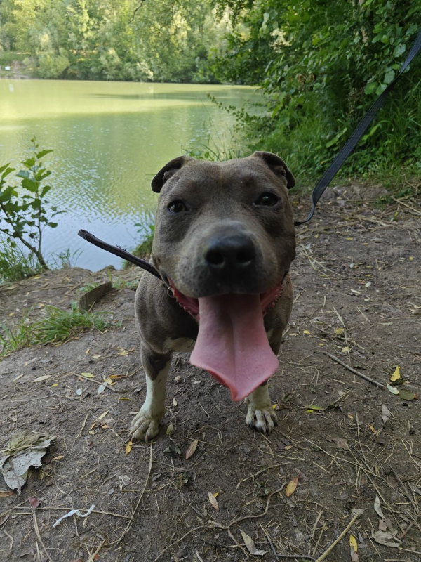 Photo #6 de NALA 