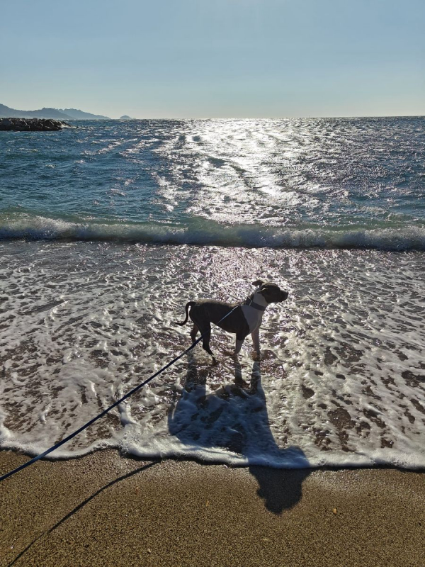 Photo #4 de PERLA