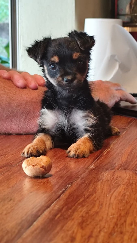 Photo #5 de Confetti