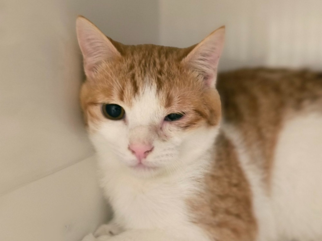 Photo de Mr crachouille