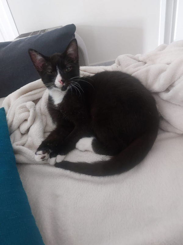 Photo #1 de Twix