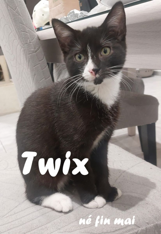 Photo #3 de Twix