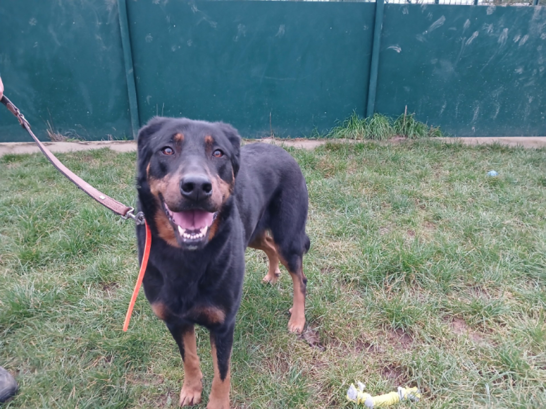 Photo #1 de Savannah