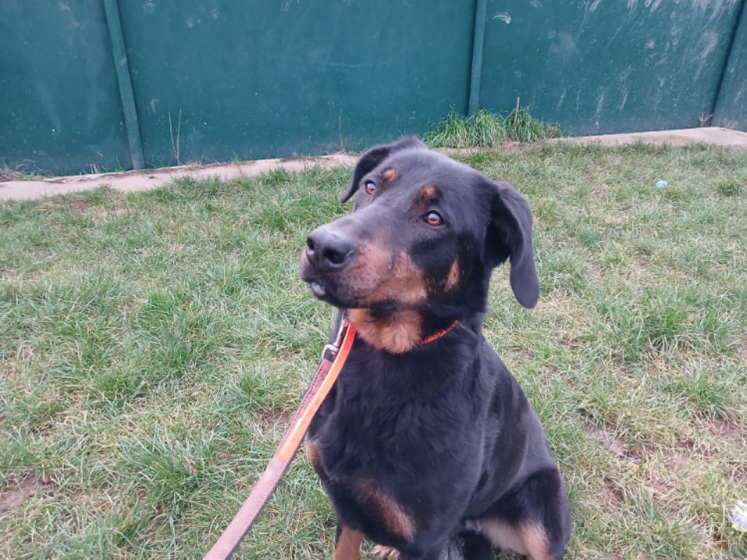 Photo #2 de Savannah