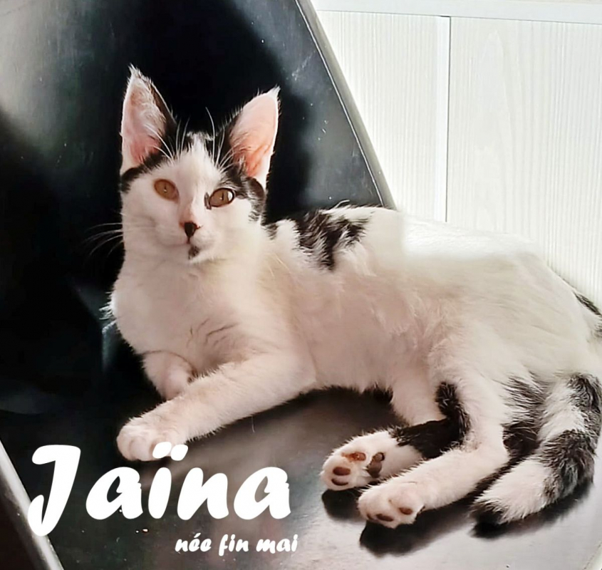 Photo #1 de Jaïna