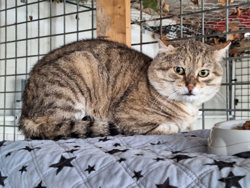 Photo #2 de Zoidberg