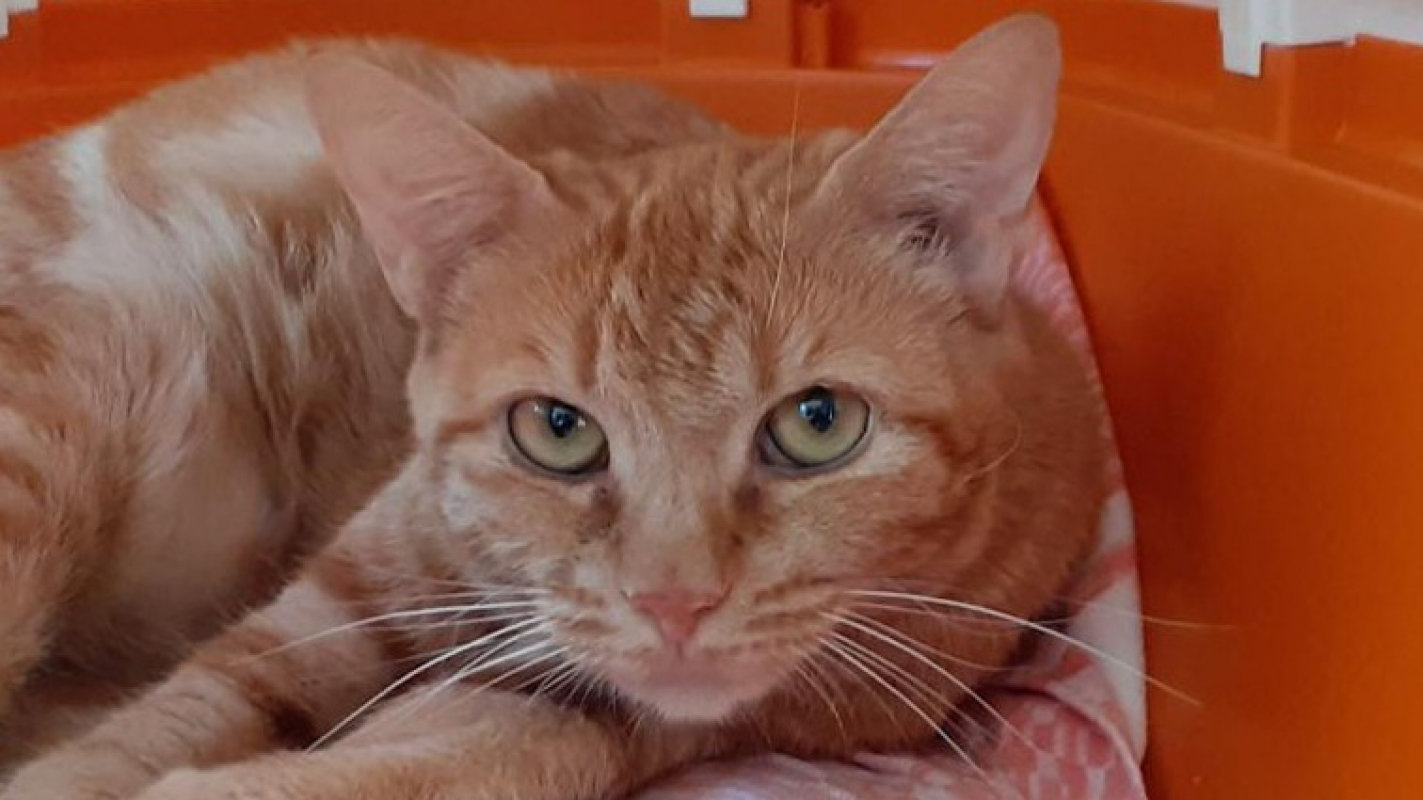 Photo #1 de Arythmie