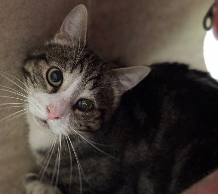 Photo de Belin sos urgent