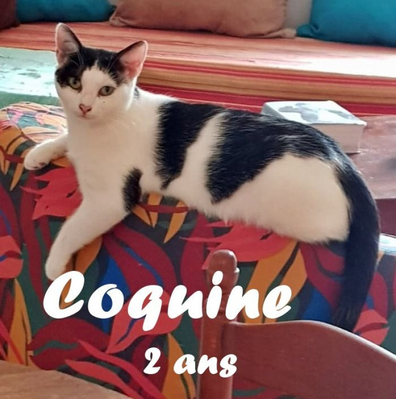 Photo #1 de Coquine