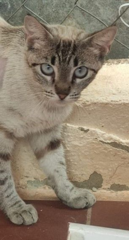 Photo #3 de Mathilda