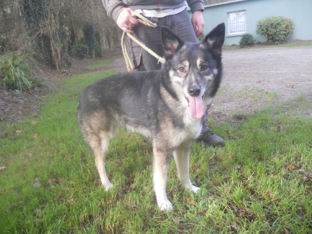 Photo #1 de Réservé scally