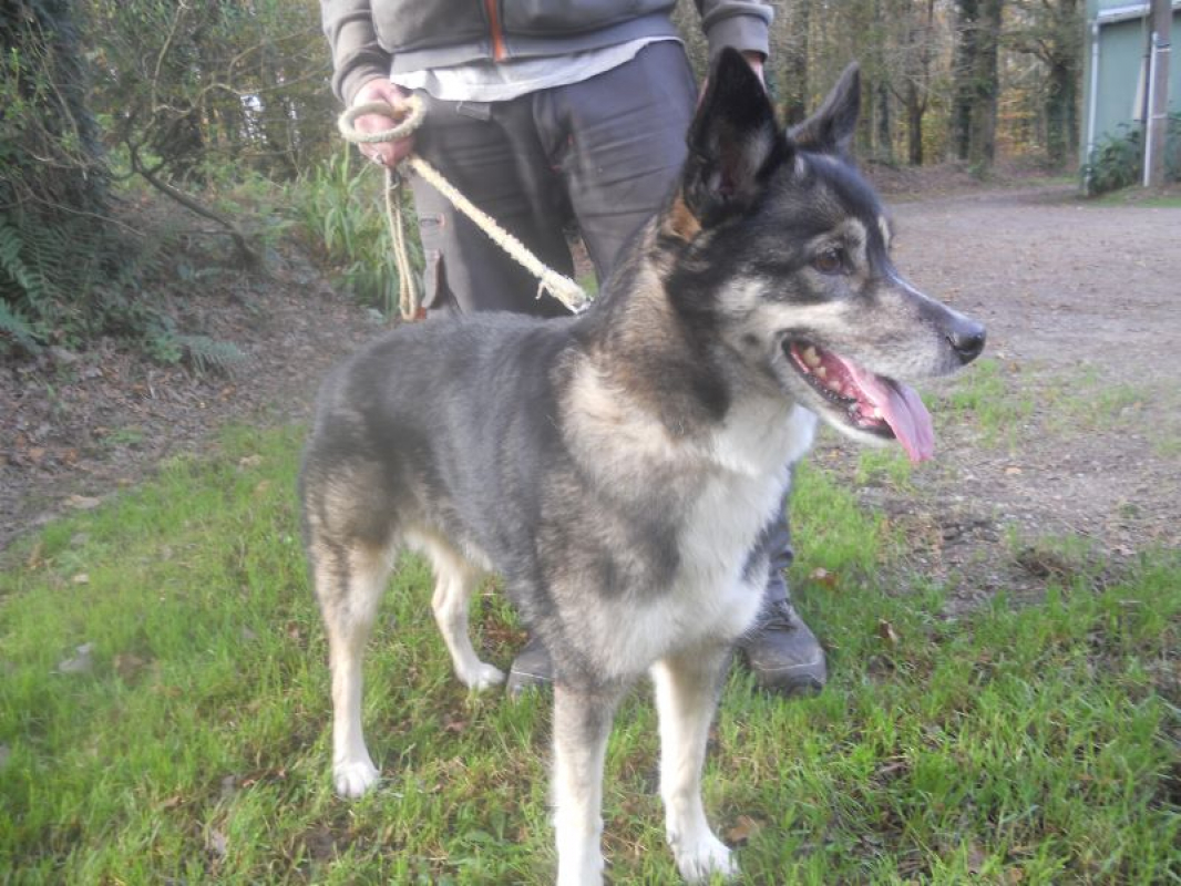 Photo #2 de Réservé scally