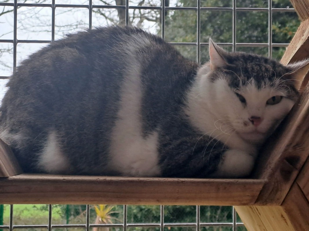 Photo #2 de Hossegor