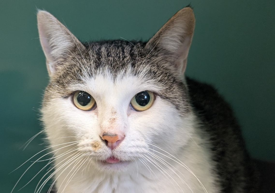 Photo #1 de Hossegora