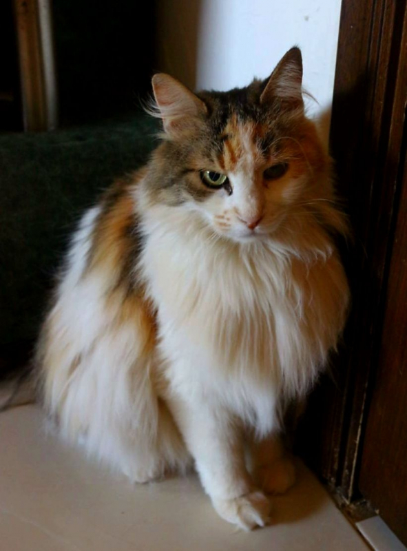 Photo #1 de Lilou