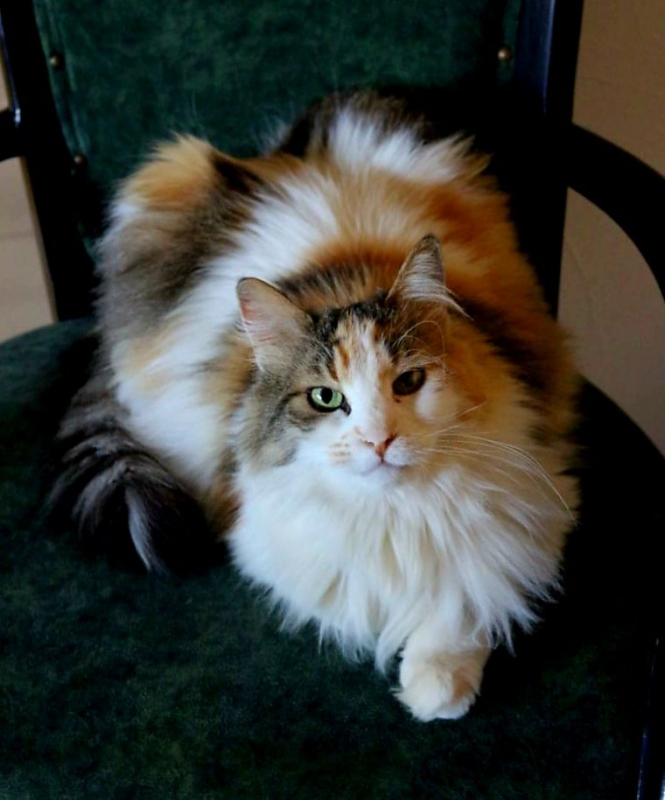 Photo #3 de Lilou