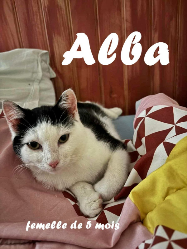 Photo #1 de Alba