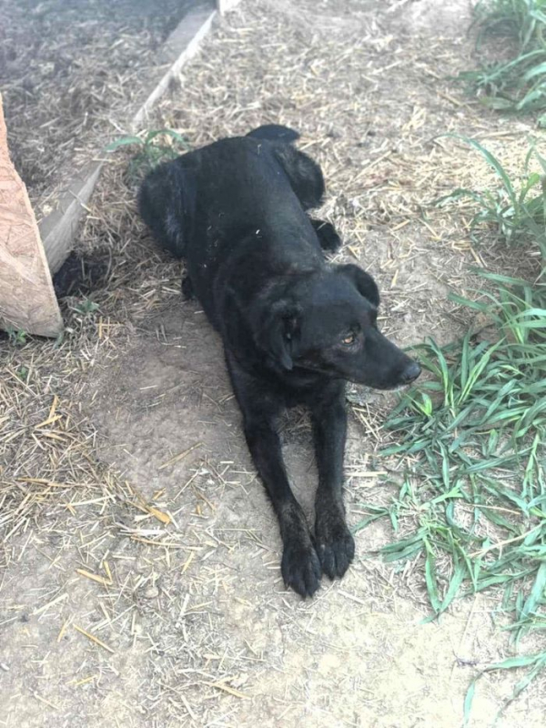 Photo #1 de Anastasia 