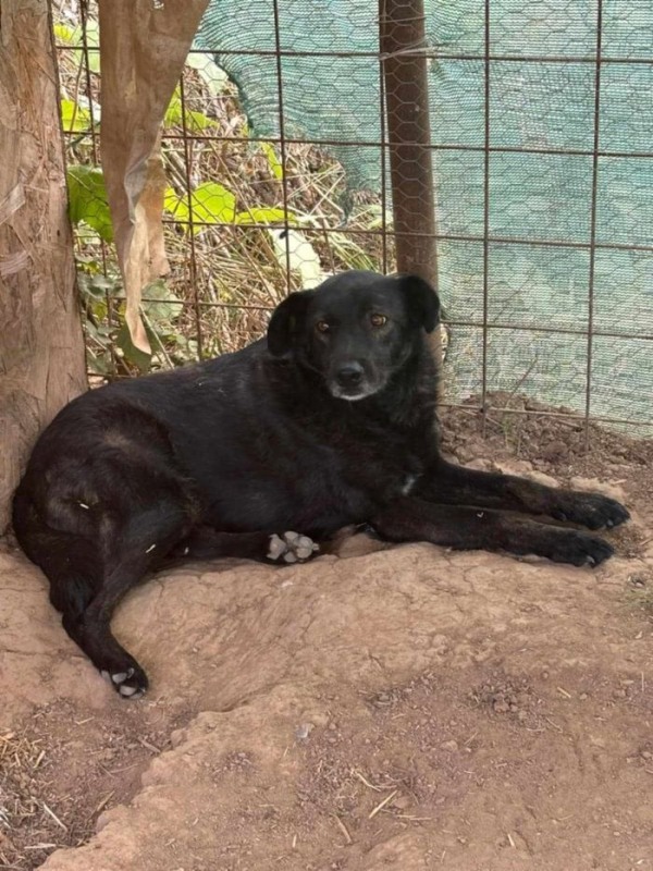 Photo #2 de Anastasia 