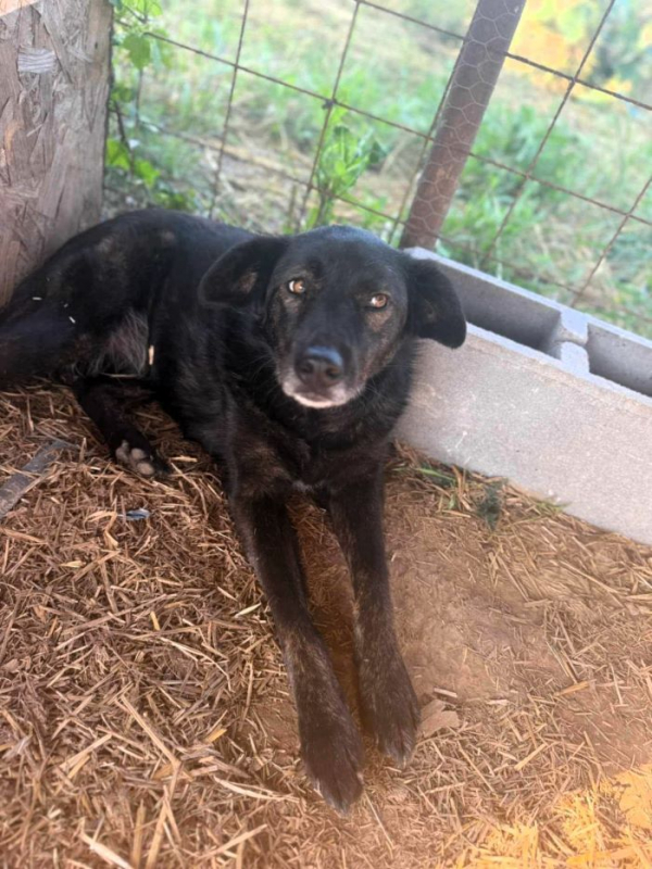 Photo #3 de Anastasia 