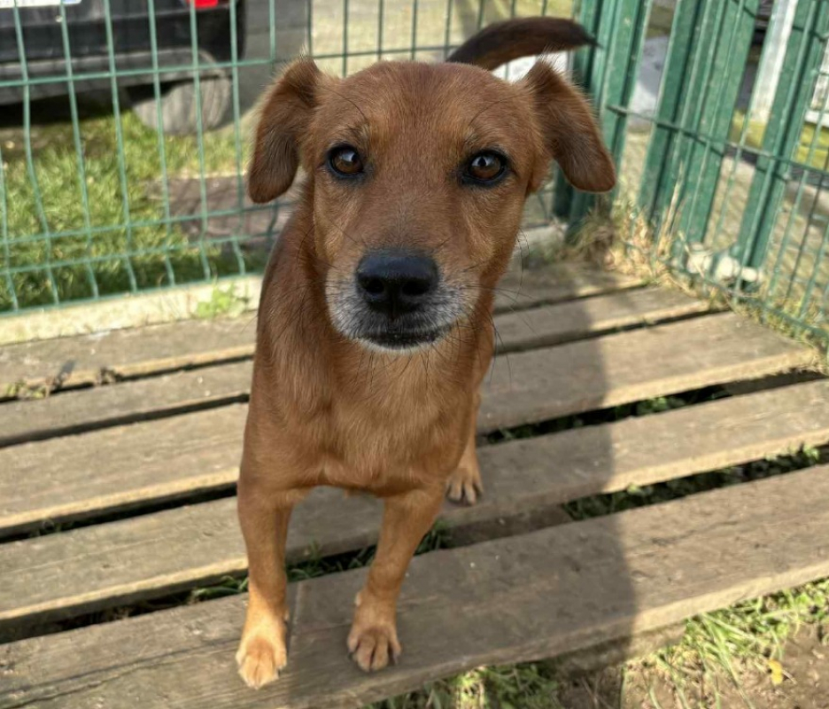 Photo #1 de Thimoutou