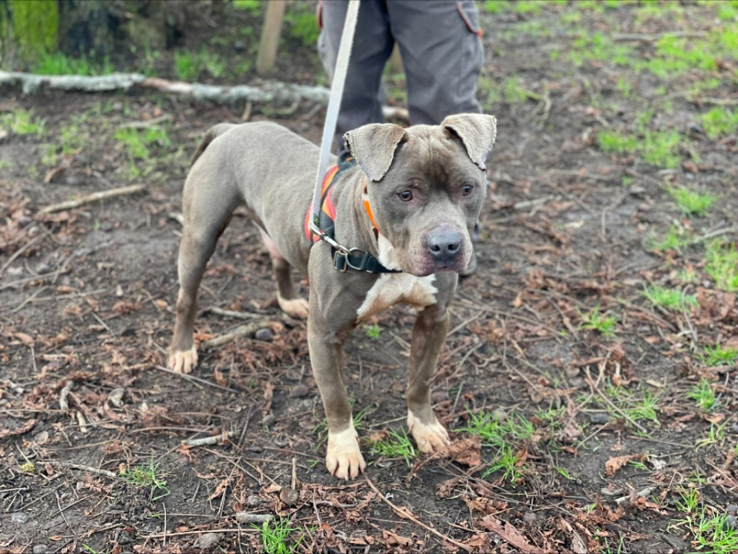 Photo #1 de Sebastien