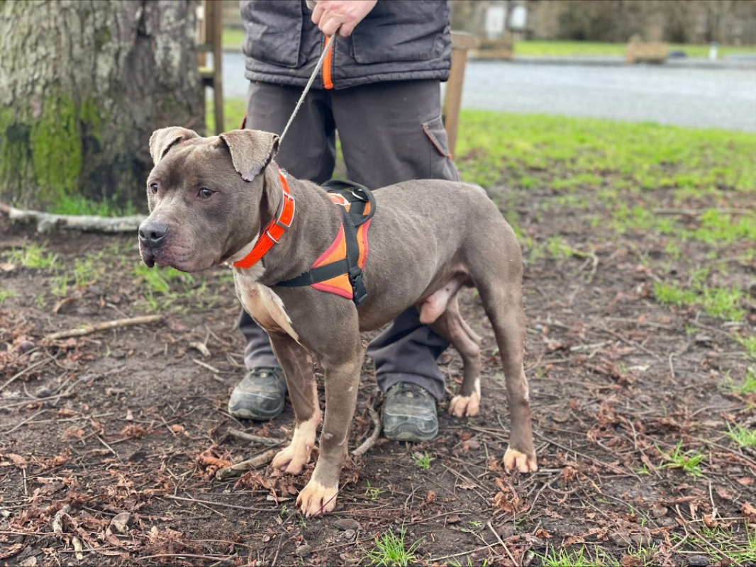 Photo #2 de Sebastien