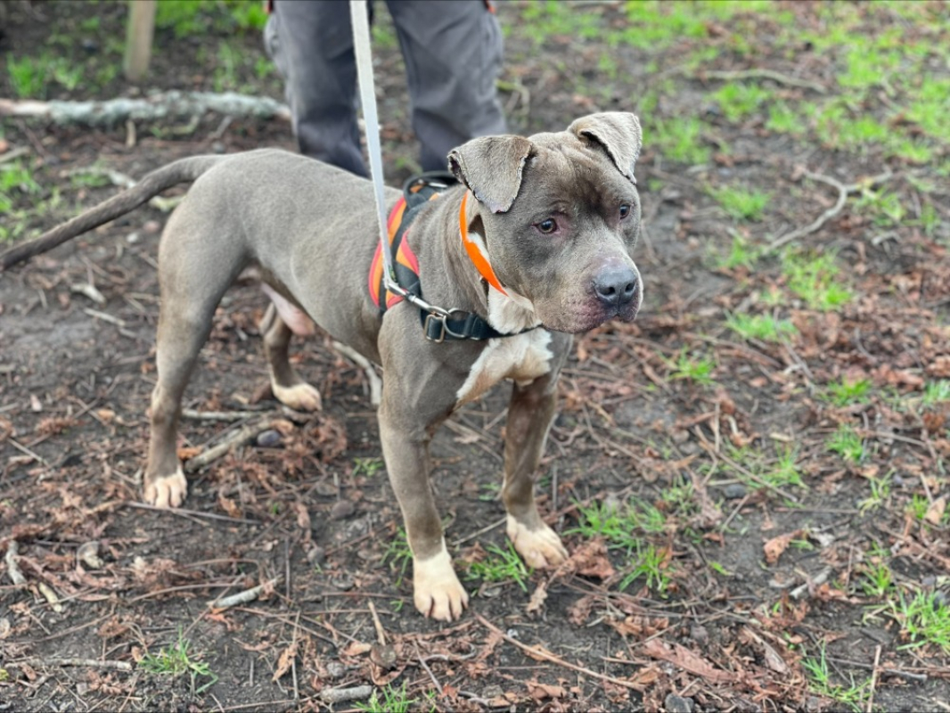 Photo #3 de Sebastien