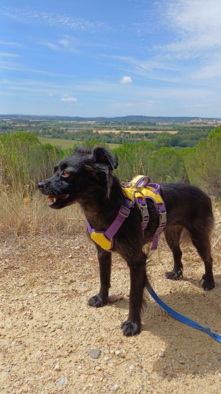 Photo #2 de Mirabelle 