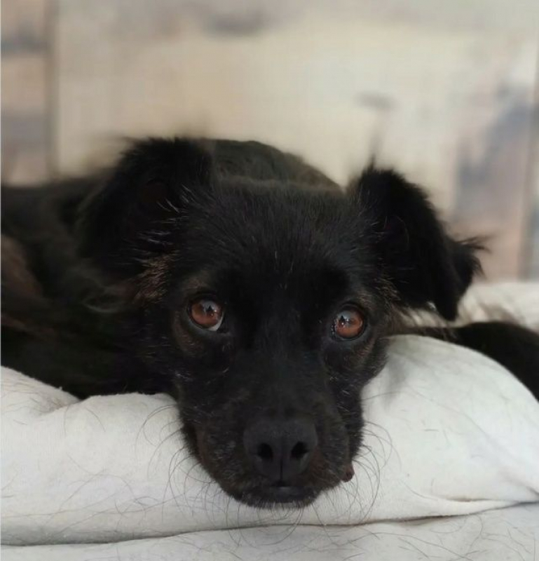 Photo #3 de Mirabelle 