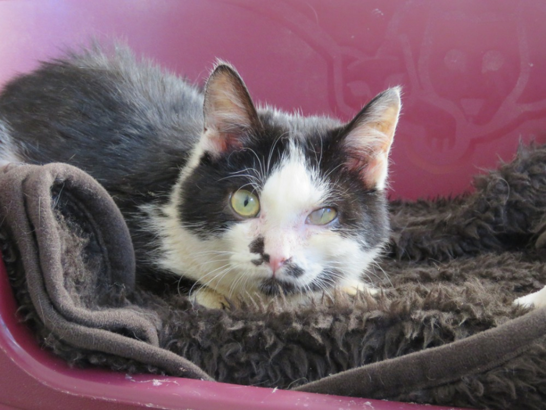 Photo #1 de Aurélien