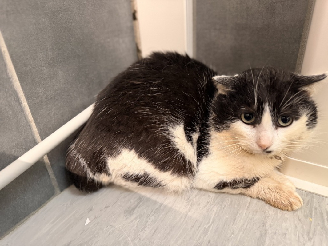 Photo #2 de Jonathan