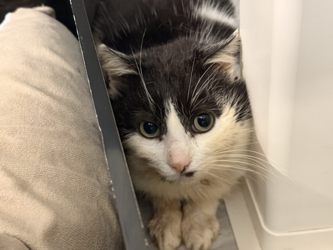 Photo #3 de Jonathan