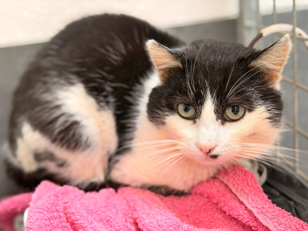 Photo #1 de Jonathan