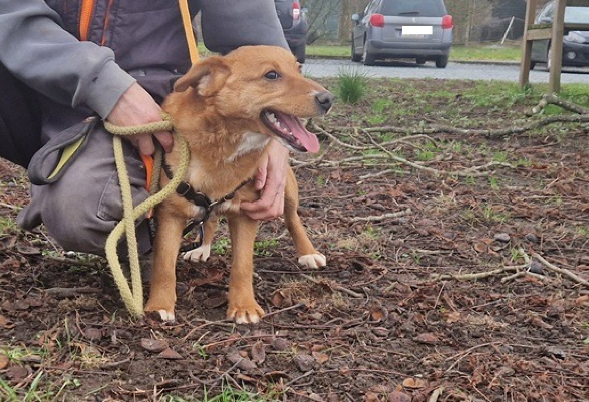 Photo #1 de Barbalala