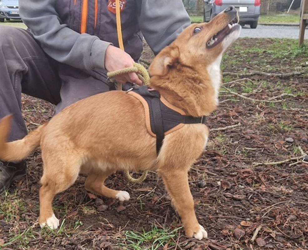 Photo #2 de Barbalala