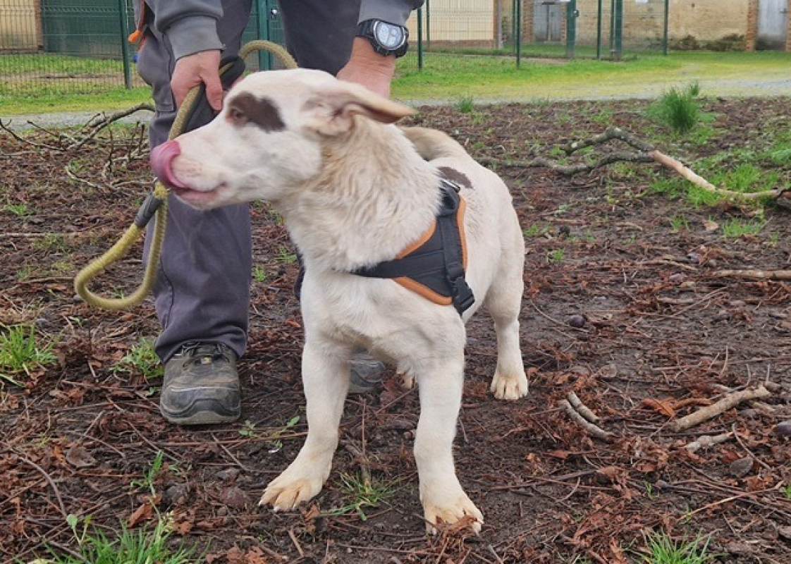 Photo #1 de Barbouille