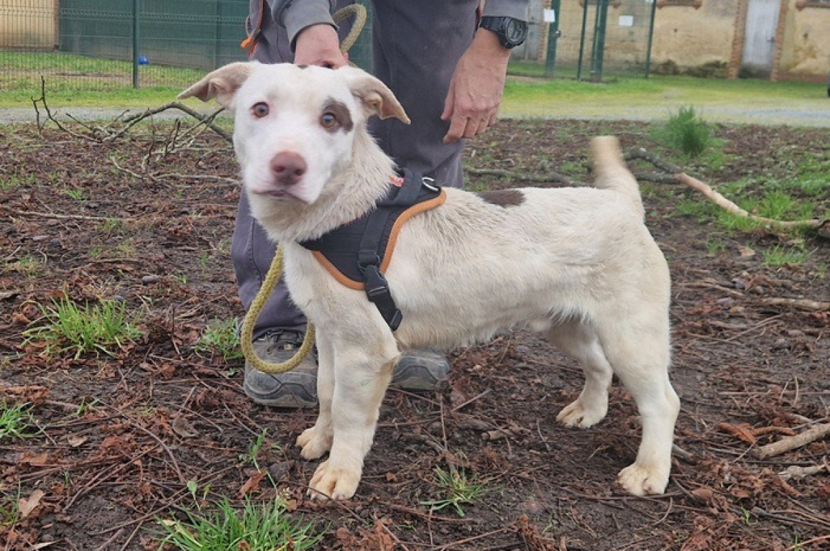 Photo #2 de Barbouille