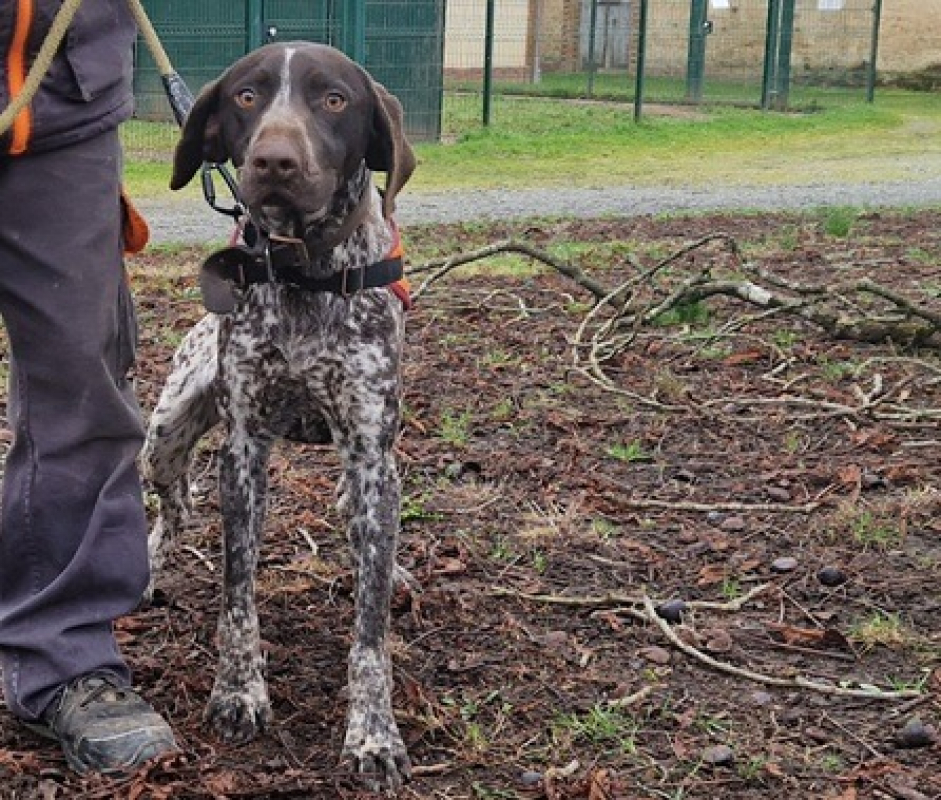 Photo #1 de Barbidou