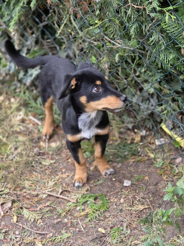 Photo #1 de Baileys 