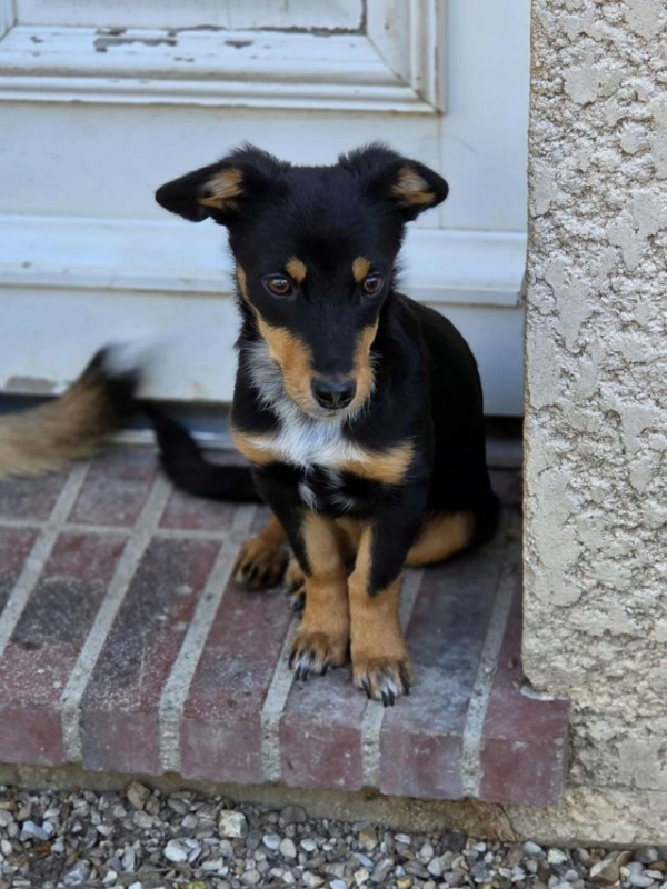 Photo #3 de Baileys 