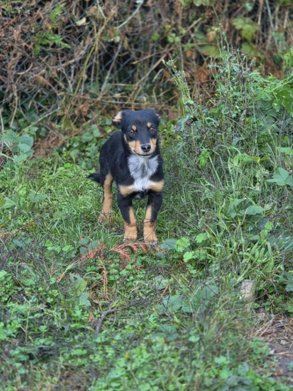 Photo #4 de Baileys 