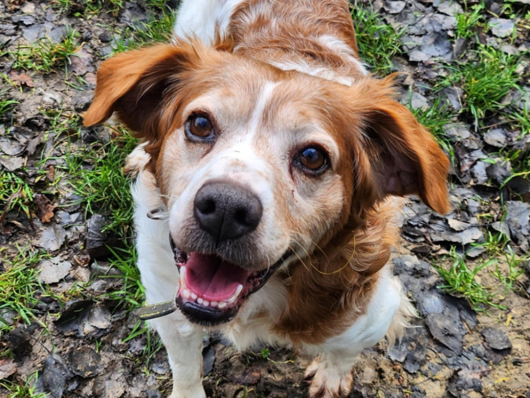 Photo #1 de Fletcher