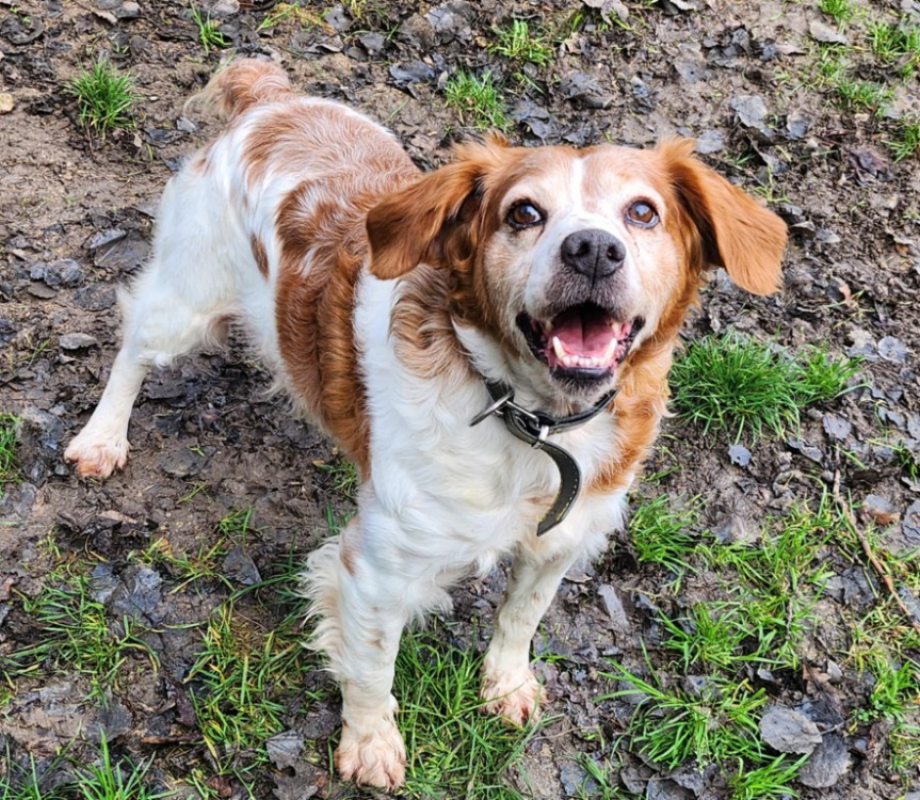 Photo #2 de Fletcher